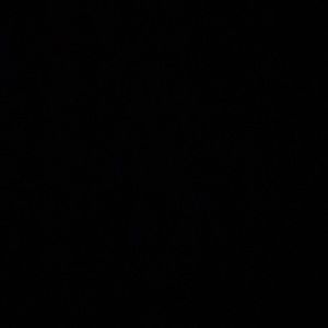 Meet your Posher, Carina